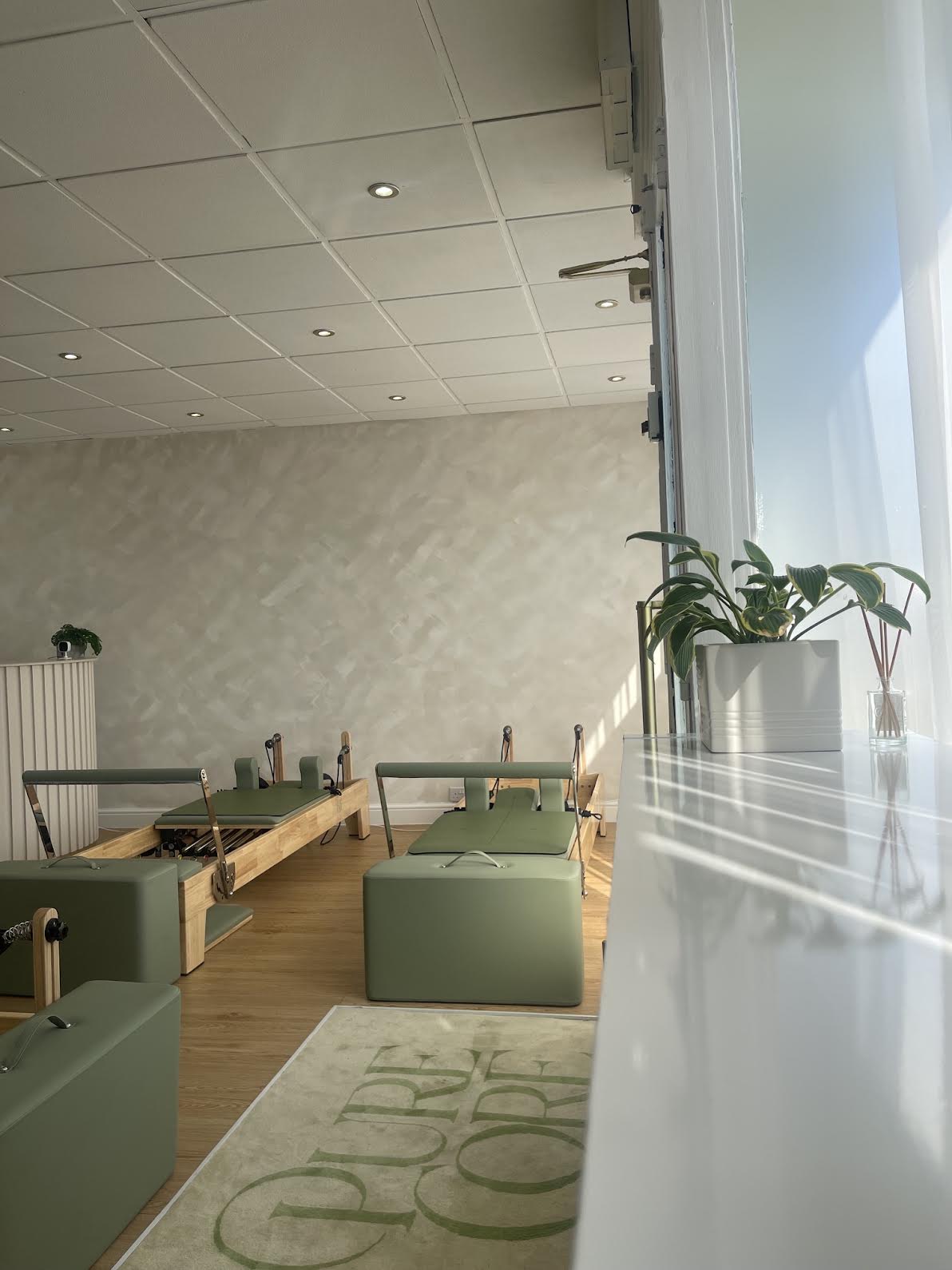 Sunlit reformer studio with Pure Core rug and plants